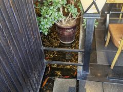 -颐和•海鲜砂锅粥•啫啫煲(奥林匹克广场店)