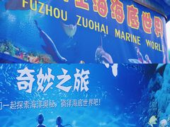 -左海海底世界