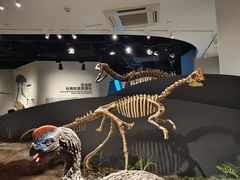 -自贡恐龙博物馆