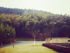 环秀晓筑养生度假村-苏州环秀晓筑养生度假村