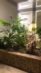 点击看大图 -贝黎诗SPA