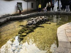 -丽泽山庄·生态怀柔菜·虹鳟鱼(红螺寺店)