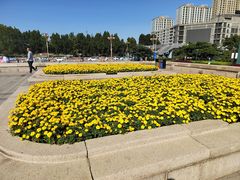 -唐山抗震纪念碑广场