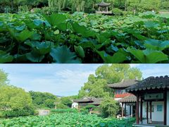 -南园(太仓市)