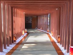 -重庆南山海昌汤都