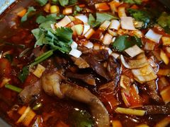 羊杂粉-凯鸽酒楼(操场城店)