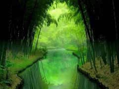 -虎跑公园