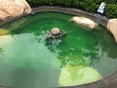 -溧阳天目湖天沐温泉