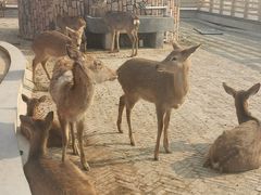 -商丘市人民公园