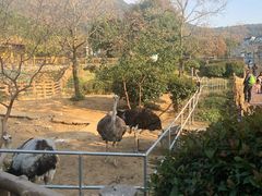 -无锡动物园·太湖欢乐园