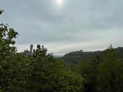 -磬锤峰森林公园