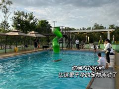 -爪吧宠物乐园·宠物泳池(温榆河示范区店)