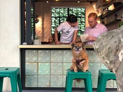 景观位-Apollo·西班牙小酒馆(安福路店)