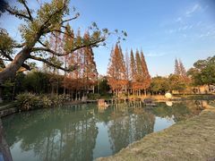 -乌村