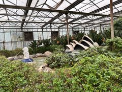 -南宫五洲植物乐园