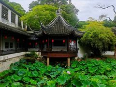 -上海醉白池公园