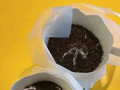 -麦当劳(燕顺路店)