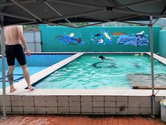 -趣玩宠物乐园寄养训犬训狗游泳池
