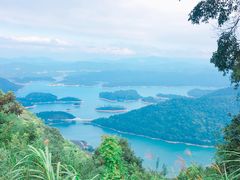 -广州市流溪河国家森林公园