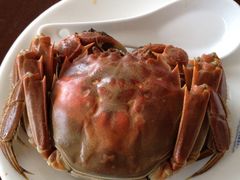 大闸蟹-芸海阁·农家私房菜(沙家浜景区出口店)