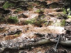 -火炉山森林公园