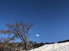 -太子岭滑雪场