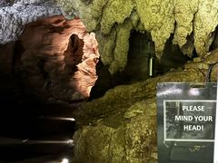 -怀托摩萤火虫洞