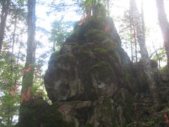 -汤旺河林海奇石景区