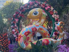 -越秀西湖花市(广州城市广场花卉店)