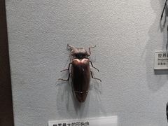 -天津自然博物馆