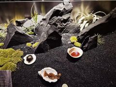 -曲廊院(东四十一条店)