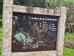 -水濂山森林公园