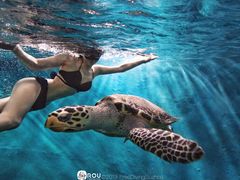-苏州海洋馆