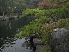 android_upload_pic-中国唐苑