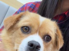 -美联众合动物医院·24h转诊中心