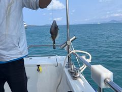 -小猫钓鱼海钓俱乐部(椰梦长廊店)