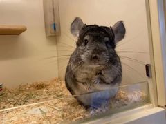 -龙猫仔乐园(惠福东路店)