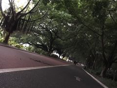 -南宁南湖公园