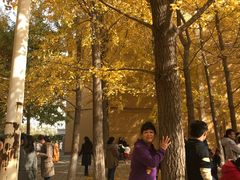 -辽宁大学(崇山校区)