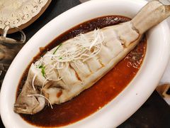 清蒸狮麟鳐鱼-金狮麟·新豫菜(金码大厦店)
