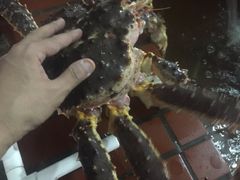 -盛棠宴