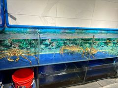 -小贝壳酒楼(经九路店)