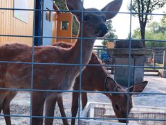 -前小桔亲子创意农场·草莓采摘·露营烧烤