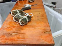 -阳澄湖大闸蟹·琼灵阁牌品牌连锁(吴中总店)