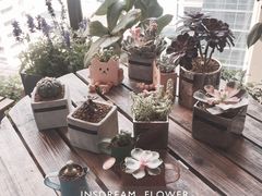 教室环境-INSDREAM FLOWER 鲜花预定·花艺培训