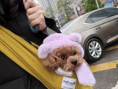 -新世界百货(明洞总店)