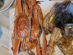 -越百海海鲜蒸锅(乐山店)