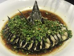 -天怡·鱼工厂(梅溪湖店)