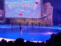 -华夏文旅海洋公园