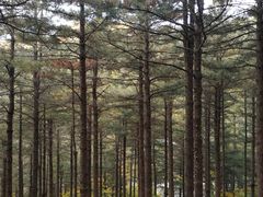 -昆嵛山石门里景区